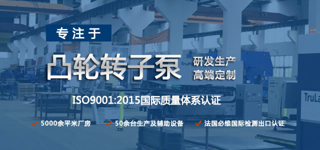 凸輪轉(zhuǎn)子泵生產(chǎn)廠家，專注于凸輪轉(zhuǎn)子泵的研發(fā)生產(chǎn)，高端定制